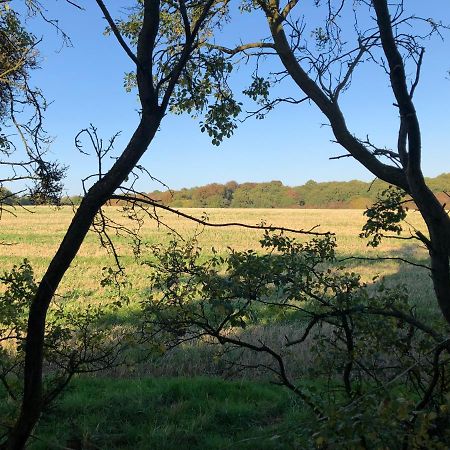 Old Hunters Lodge Whipsnade Limited Екстер'єр фото